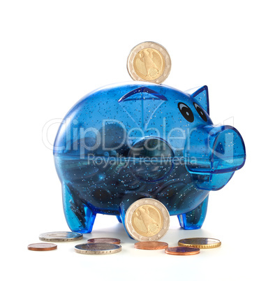 Pig a coin box with coins on a white background