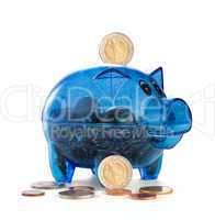 Pig a coin box with coins on a white background