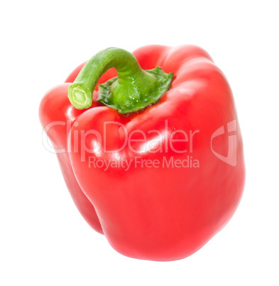 Red paprika close up on a white background