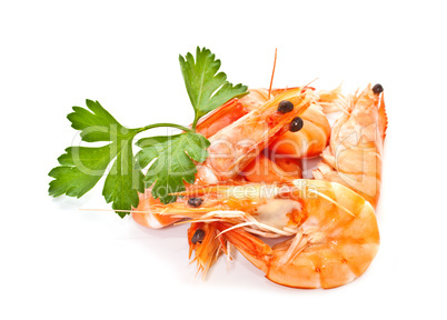 Prawns with a sprig of parsley on a white background