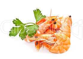 Prawns with a sprig of parsley on a white background