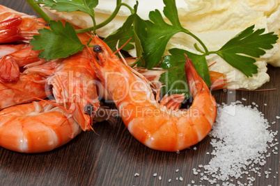 Prawns with a sprig of parsley and salad close up.