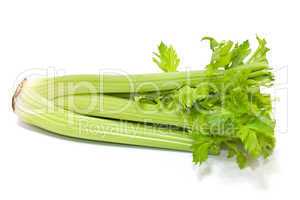 Celery isolated on a white background.
