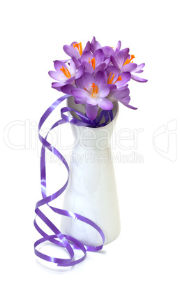 Bouquet of spring crocuses on a white background