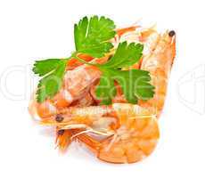 Prawns with a sprig of parsley on a white background