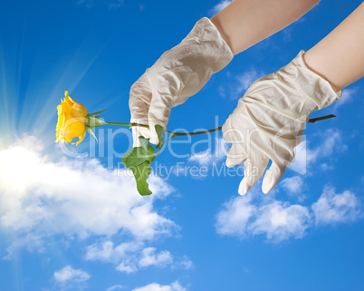 Hands of a doctor in a sterile gloves holding a dew in the sky