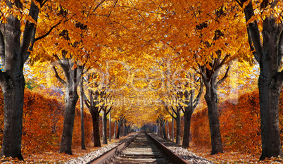 Abandoned railroad in autumn forest