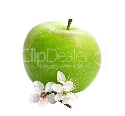 Green apple with an apple-tree flowers