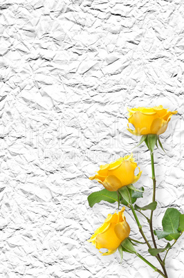 old paper background with beautiful roses