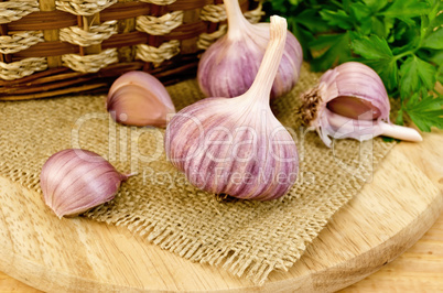 Garlic on sacking with a basket