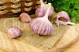 Garlic on sacking with a basket