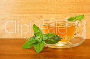 Herbal tea in a glass cup with mint on a wooden board