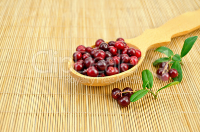 Lingonberry in a spoon on a bamboo mat