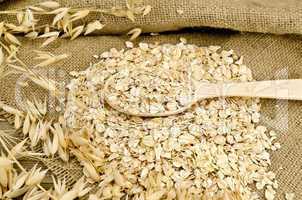 Oat flakes in spoon on sacking