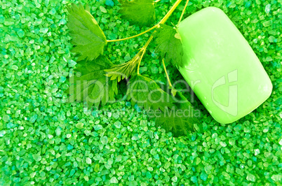 Salt of the green with soap and nettles
