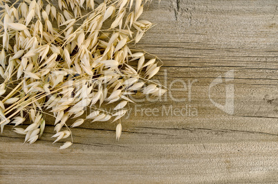 Stalks of oats on an old wooden board