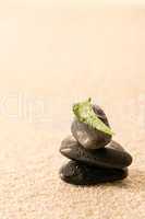 Spa zen stones with leaf on sand