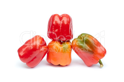 Fruits of sweet pepper on white