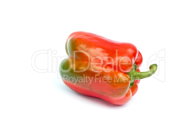 Sweet pepper on white