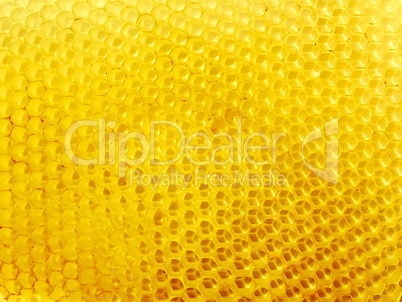 Honeycomb with empty cells