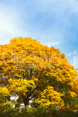 Herbstliche Farben im Oktober