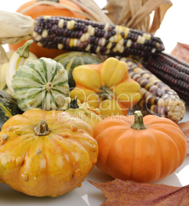 Mini Pumpkins And Indian Corn