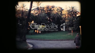 Vintage 8mm. Park with palm trees