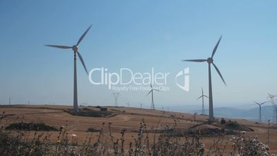 Panoramic of a field of wind turbines