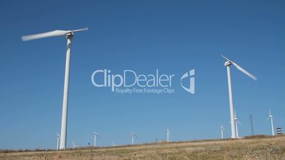 Field of single blade wind turbines