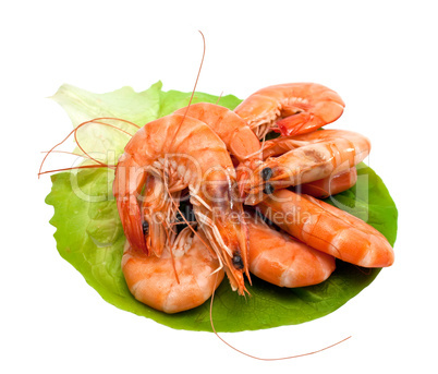 Fresh shrimp on lettuce leaf, isolated on a white background