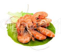 Fresh shrimp on lettuce leaf, isolated on a white background