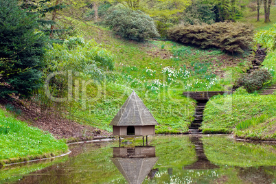 Spring landscape. Pond with a small house for wild birds.