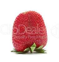 Strawberry, isolated on a white background.