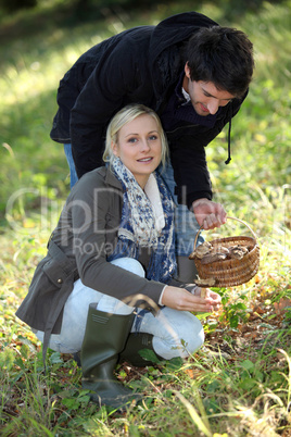 Couple picking mushrooms in a forest