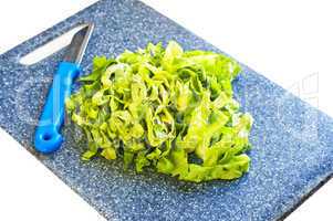 Salat schneiden