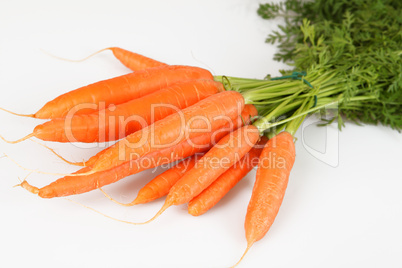 Karotten Karotten