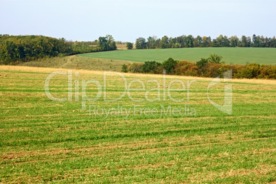 Rural autumn landscape