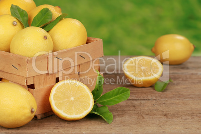 Zitronen-Ernte