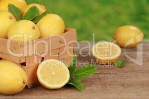 Zitronen-Ernte