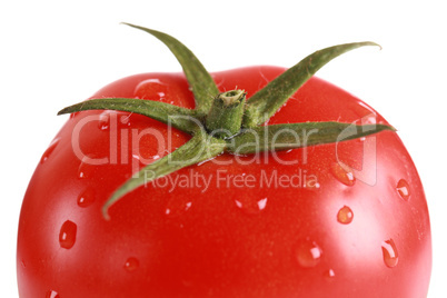 Nahaufnahme einer frischen Tomate