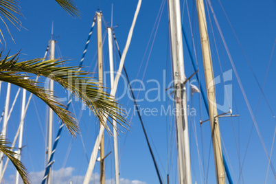 Palmen und Segelbootmasten - Palm trees and sailboat masts