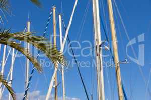 Palmen und Segelbootmasten - Palm trees and sailboat masts