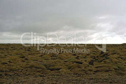 Lavafeld in Island