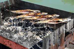Grilled fish on barbecue
