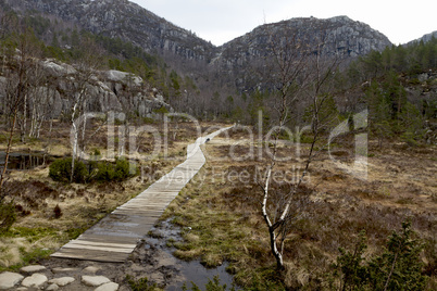 wooden track in rural landscape