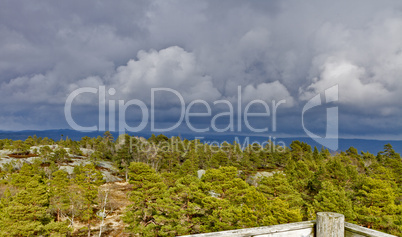 view over forest with cloudy sky