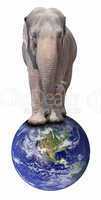 Elephant on Globe