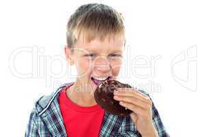 Smart looking young boy relishing yummy chocolate cookie