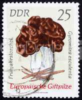 Postage stamp GDR 1974 Gyromitra Esculenta, Mushroom