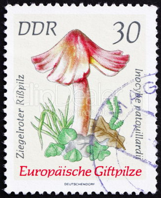 Postage stamp GDR 1974 Inocybe Patouillardii, Mushroom